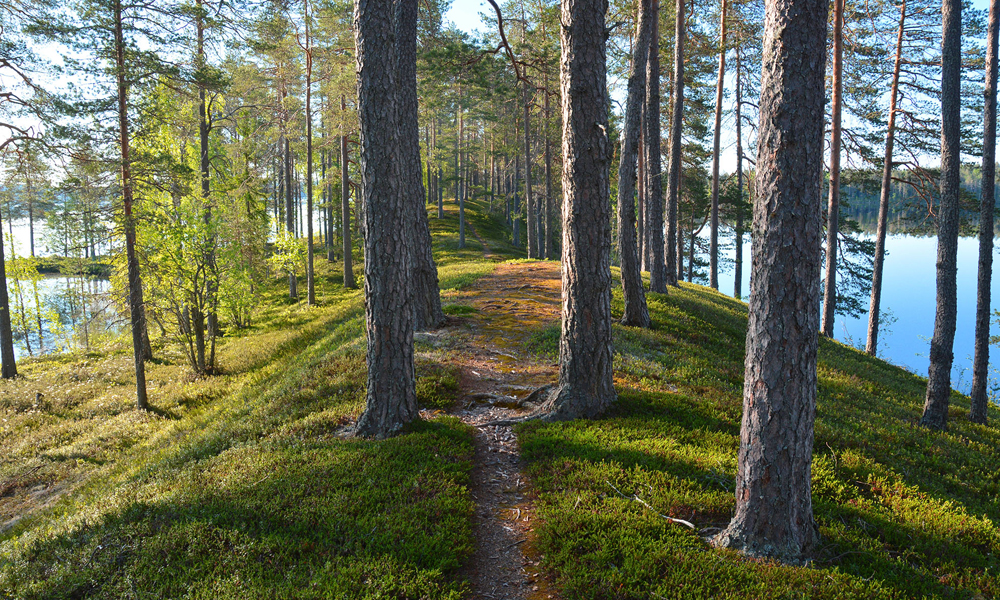viikonlopun-vaellukselle-tai-p-iv-retkelle-kirja-vie-80-kohteen